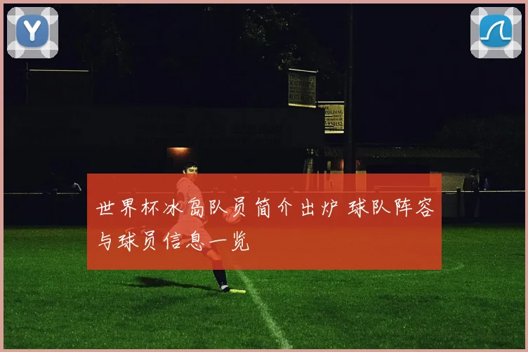 世界杯冰岛队员简介出炉 球队阵容与球员信息一览