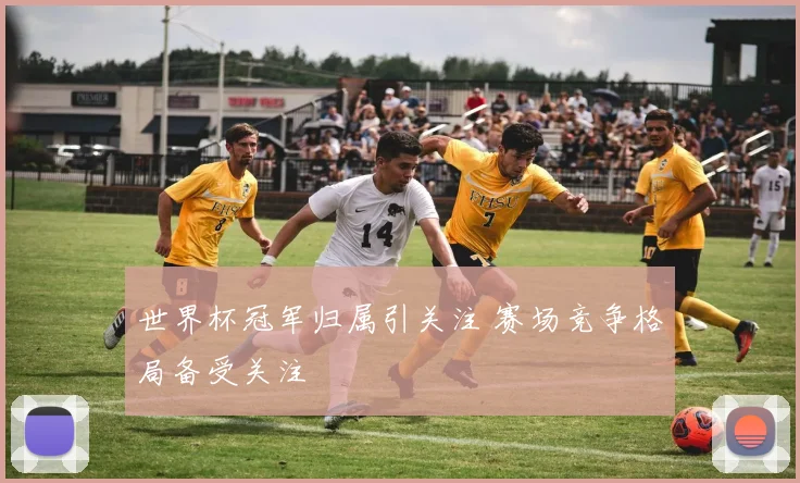 世界杯冠军归属引关注 赛场竞争格局备受关注