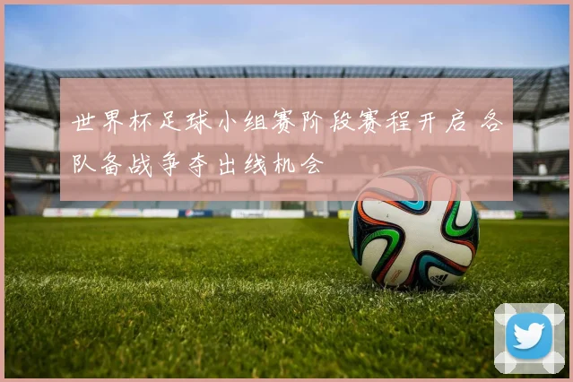 世界杯足球小组赛阶段赛程开启 各队备战争夺出线机会