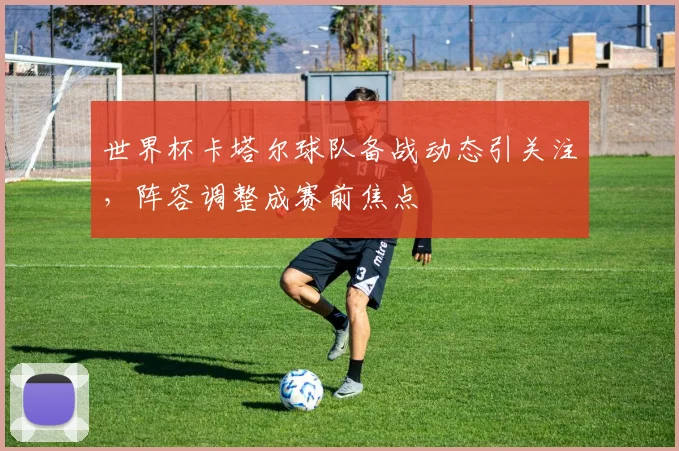 世界杯卡塔尔球队备战动态引关注,阵容调整成赛前焦点