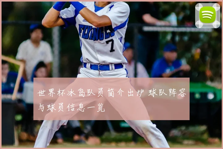 世界杯冰岛队员简介出炉 球队阵容与球员信息一览